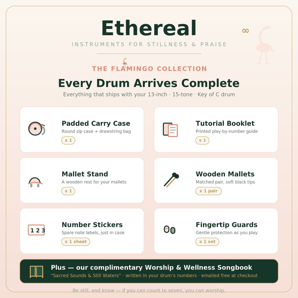 Ethereal Flamingo kit — 13-inch drum, case, tutorial booklet, mallets, stickers, and fingertip guards