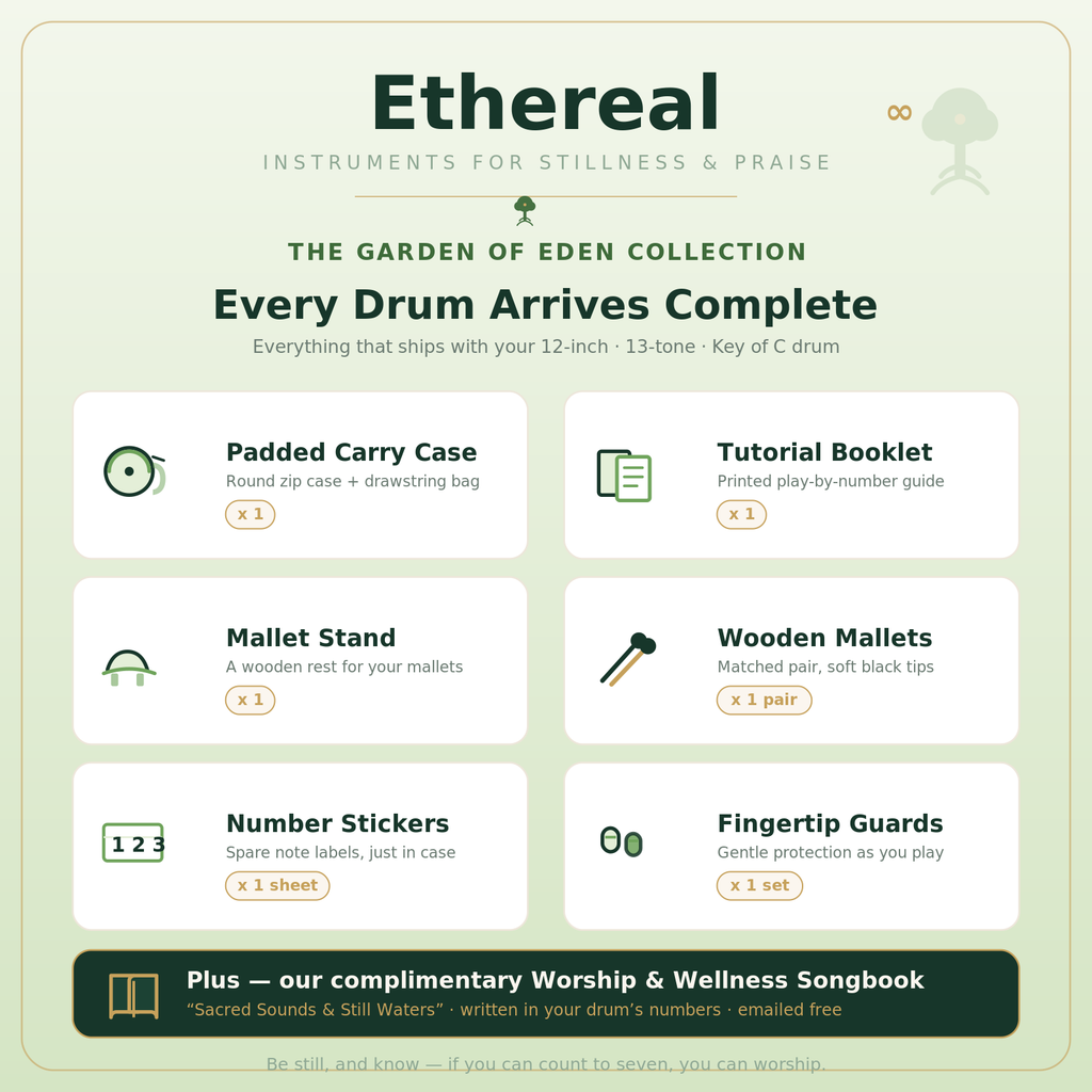 Ethereal Garden of Eden kit — 12-inch drum, case, tutorial booklet, mallets, stickers, and fingertip guards