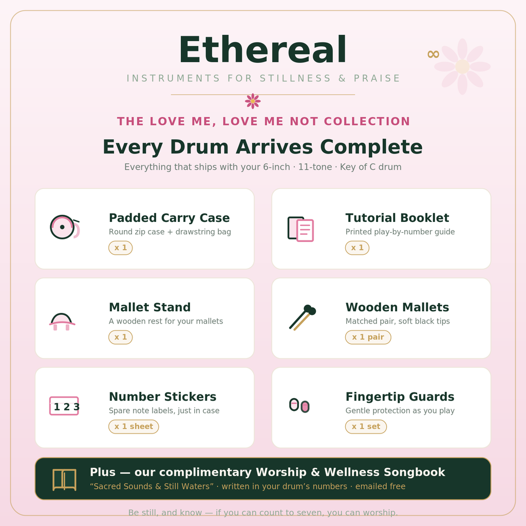 Ethereal Love Me Love Me Not kit — 6-inch drum, case, tutorial booklet, mallets, stickers, and fingertip guards